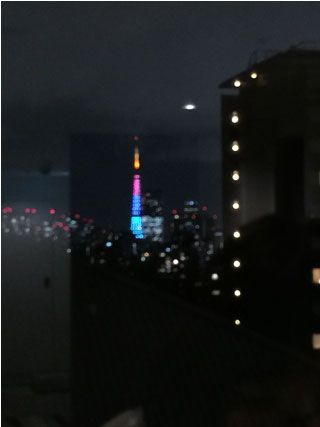 ホテルから見える東京タワー